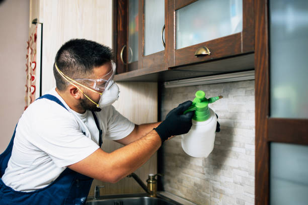 Best Pest Prevention Services  in Eldon, MO