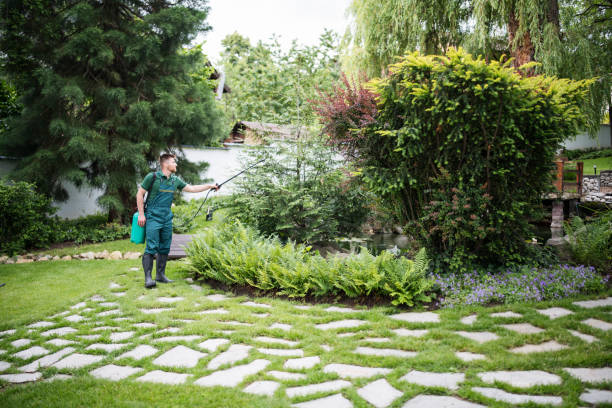 Best Best Pest Control Companies  in Eldon, MO