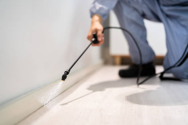 Professional Pest Control in Eldon, MO