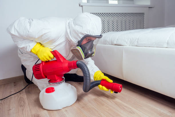 Best Pest Control Treatment  in Eldon, MO