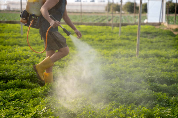 Pest Prevention Services in Eldon, MO