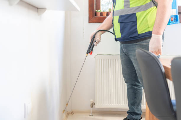 Best Local Pest Control Services  in Eldon, MO