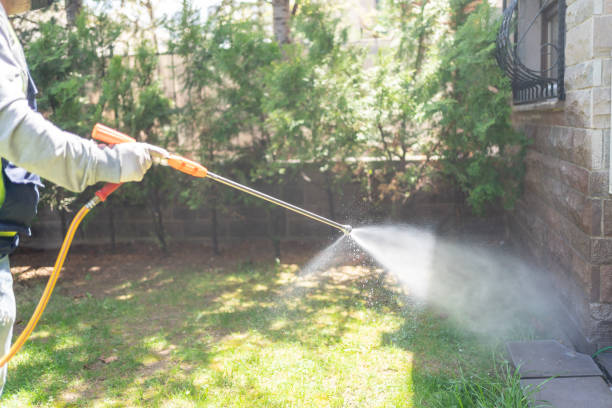 Best Insect Control  in Eldon, MO