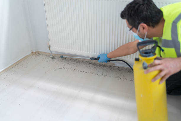 Trusted Eldon, MO Pest Control Experts